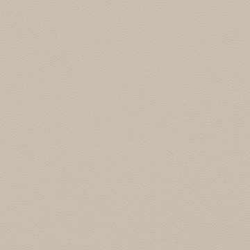 Picture of Johnsonite - Solid Colors Leather Sandstorm