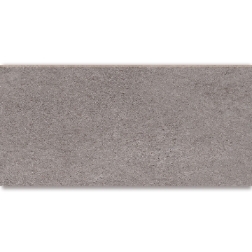 Picture of American Wonder Porcelain - Mars Stone II 24 x 48 Matte Silver Stone