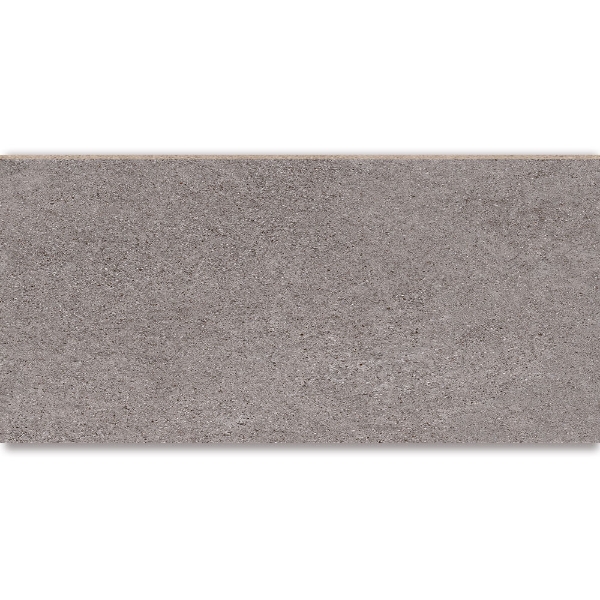 Picture of American Wonder Porcelain - Mars Stone II 24 x 48 Matte Silver Stone
