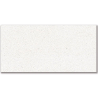 Picture of American Wonder Porcelain - Mars Stone II 24 x 48 Polished White Dune