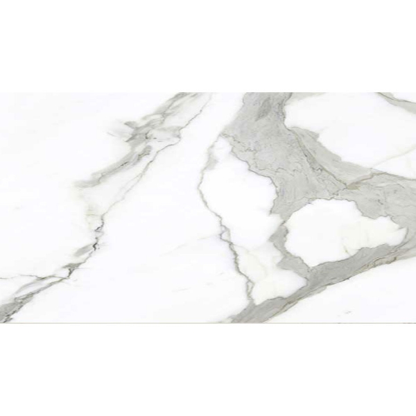 Picture of American Wonder Porcelain - Preeminent II 24 x 48 Matte White