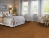 Picture of Hartco - Prime Harvest Solid Low Gloss 2 1/4 Butterscotch