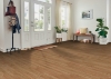 Picture of Hartco - Prime Harvest Solid Low Gloss 2 1/4 Natural Oak