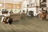 Picture of Hartco - TimberTru Back Home Spot of Tranquility