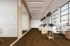 Picture of Hartco - Dry Back LVT 9 x 60 Garden Party