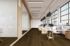 Picture of Hartco - Dry Back LVT 9 x 60 Wooded Trail