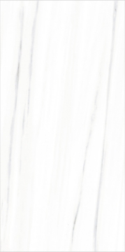Picture of Eleganza Tiles - Italian Marble Next 24 x 48 Bianco Matte