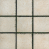 Picture of Milestone - Earth Pavers Moon White