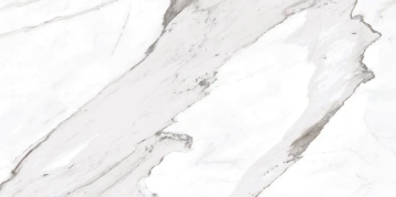 Picture of Milestone - Epic 12 x 24 Polished Apuano