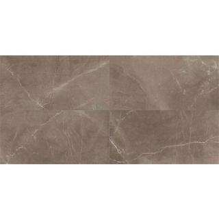 Picture of Milestone - Luxury 12 x 24 Polished Amani Bronze