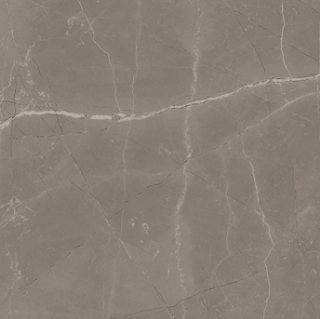 Picture of Milestone - Luxury 12 x 12 Matte Amani Grey