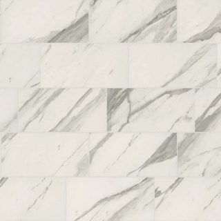 Picture of Shaw Floors - Serene 12 x 24 Polished Bianco-Carrara