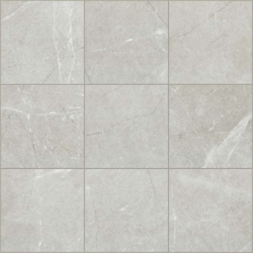 Picture of Shaw Floors - Visionary 20 x 20 Haven