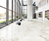 Picture of Milestone - Onyx 24 x 24 Polished White