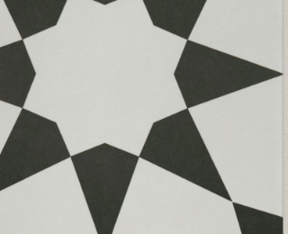 Picture of Shaw Floors - TB Resurgence Josephina Onyx