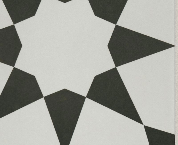 Picture of Shaw Floors - TB Resurgence Josephina Onyx