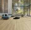 Picture of Titan Surfaces - Essentials Caribbean Beech