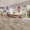 Picture of Titan Surfaces - Genesis Blacksmith Oak