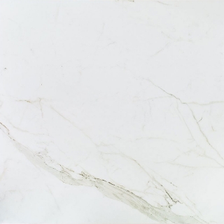 Picture of SOHO Studio Corp - Versilia 12 x 12 Calacatta Matte