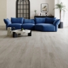Picture of BHW Floors - Park Denali