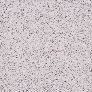 Picture of Patcraft - Numix Ube Fleck-V1
