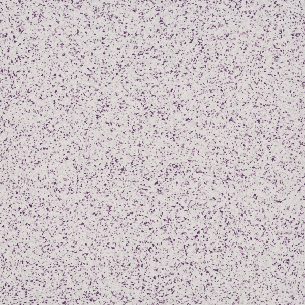 Picture of Patcraft - Numix Ube Fleck-V1