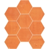 Picture of Elon Tile & Stone - Terracotta Stained Hexagon 8 Brick Red Clear Semi Gloss