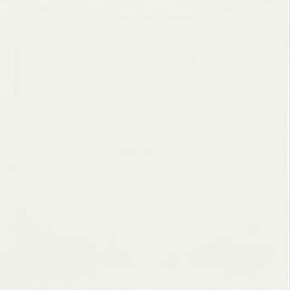 Picture of Shaw Floors - Diva 24 x 24 White