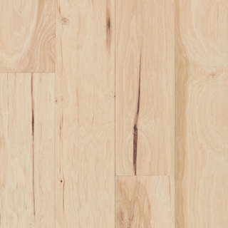 Picture of Palmetto Road - Mountain Ridge Allegheny