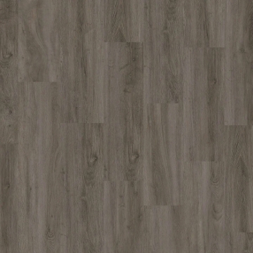 Picture of EarthWerks - Chassis Motorcoach