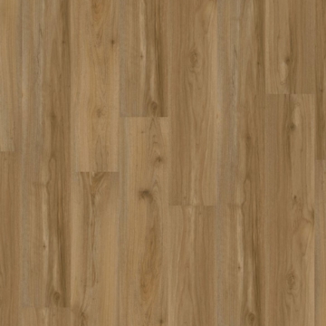 Picture of EarthWerks - Chassis Backbone