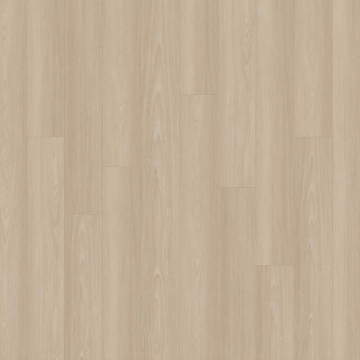 Picture of EarthWerks - Chassis Clutch