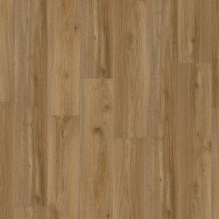 Picture of EarthWerks - Chassis Advantage Backbone