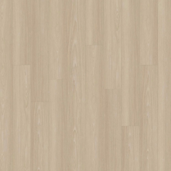 Picture of EarthWerks - Chassis Advantage Clutch