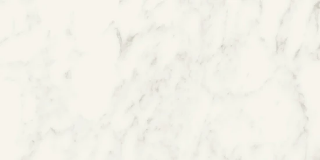 Picture of Milestone - Jem 12 x 24 Matte Adagio White