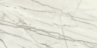 Picture of Milestone - Jem 24 x 48 Polished Forte White