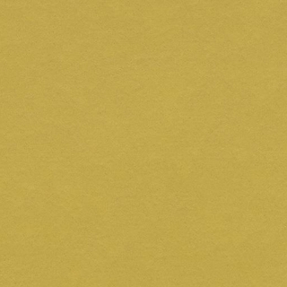 Picture of Forbo - Marmoleum Modular Color 10 x 20 Yellow Moss