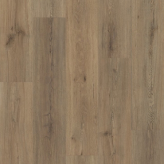 Picture of Shaw Floors - Superlative Plus Wild Dunes