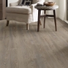Picture of Shaw Floors - Anvil Plus 20 MIL Grey Chestnut
