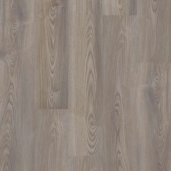 Picture of Shaw Floors - Brio Plus 20 Grey Chestnut