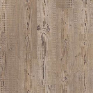 Picture of Shaw Floors - Brio Plus Accent Pine