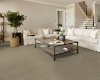Picture of Shaw Floors - Distinction Plus Earthy Taupe