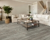 Picture of Shaw Floors - Endura Plus Fresh Driftwood