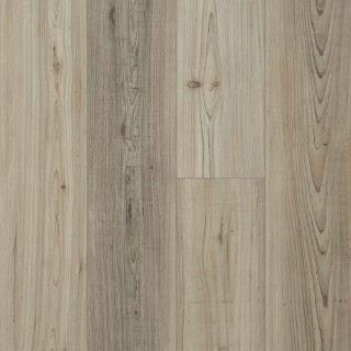 Picture of Shaw Floors - Distinction Plus Light Pine