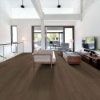 Picture of Shaw Floors - Dwell Natural Umber