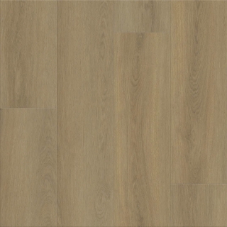 Picture of Shaw Floors - Dwell Nutmeg