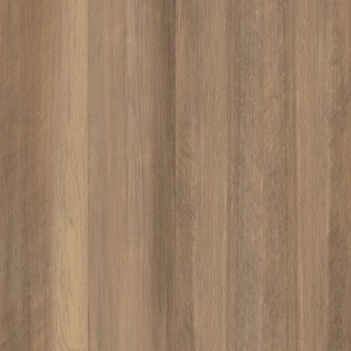 Picture of Shaw Floors - Optimum 512C Plus Tawny Oak