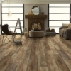 Picture of Shaw Floors - Pantheon HD Plus Saggio