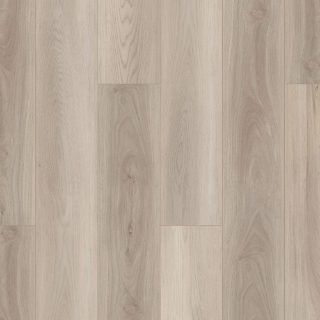 Picture of Shaw Floors - Paladin Plus Lighthouse