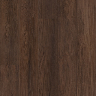 Picture of Shaw Floors - Prominence Plus Burnt Umber